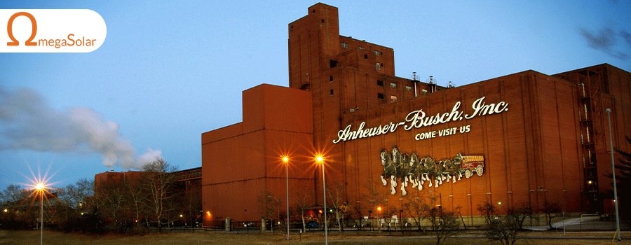 Anheuser-Busch: Sản xuất bia bằng năng lượng Mặt trời